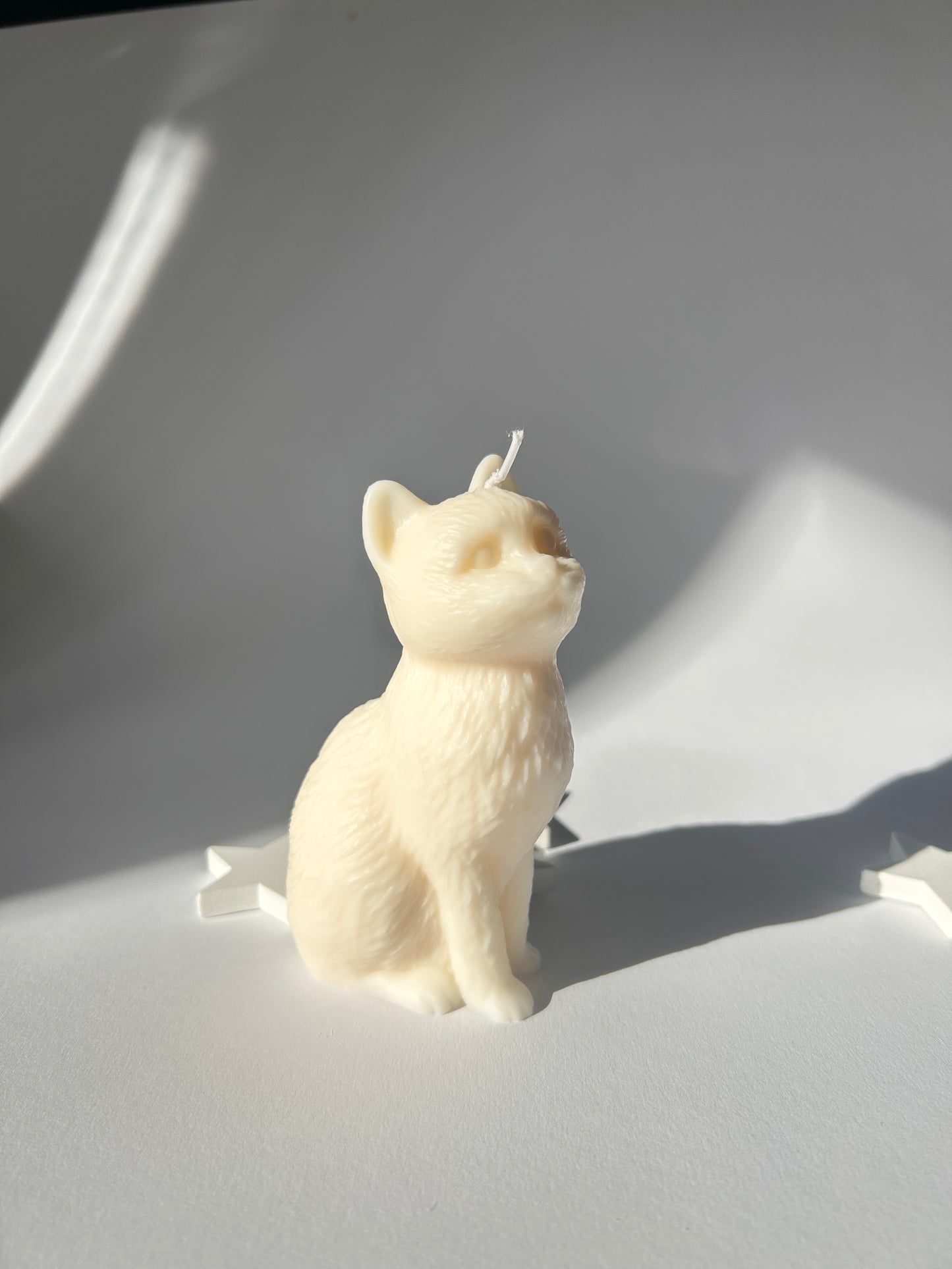 Katzen Kerze
