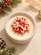 Weihnachtsstern-Kerze mit cremeweißer Blüte