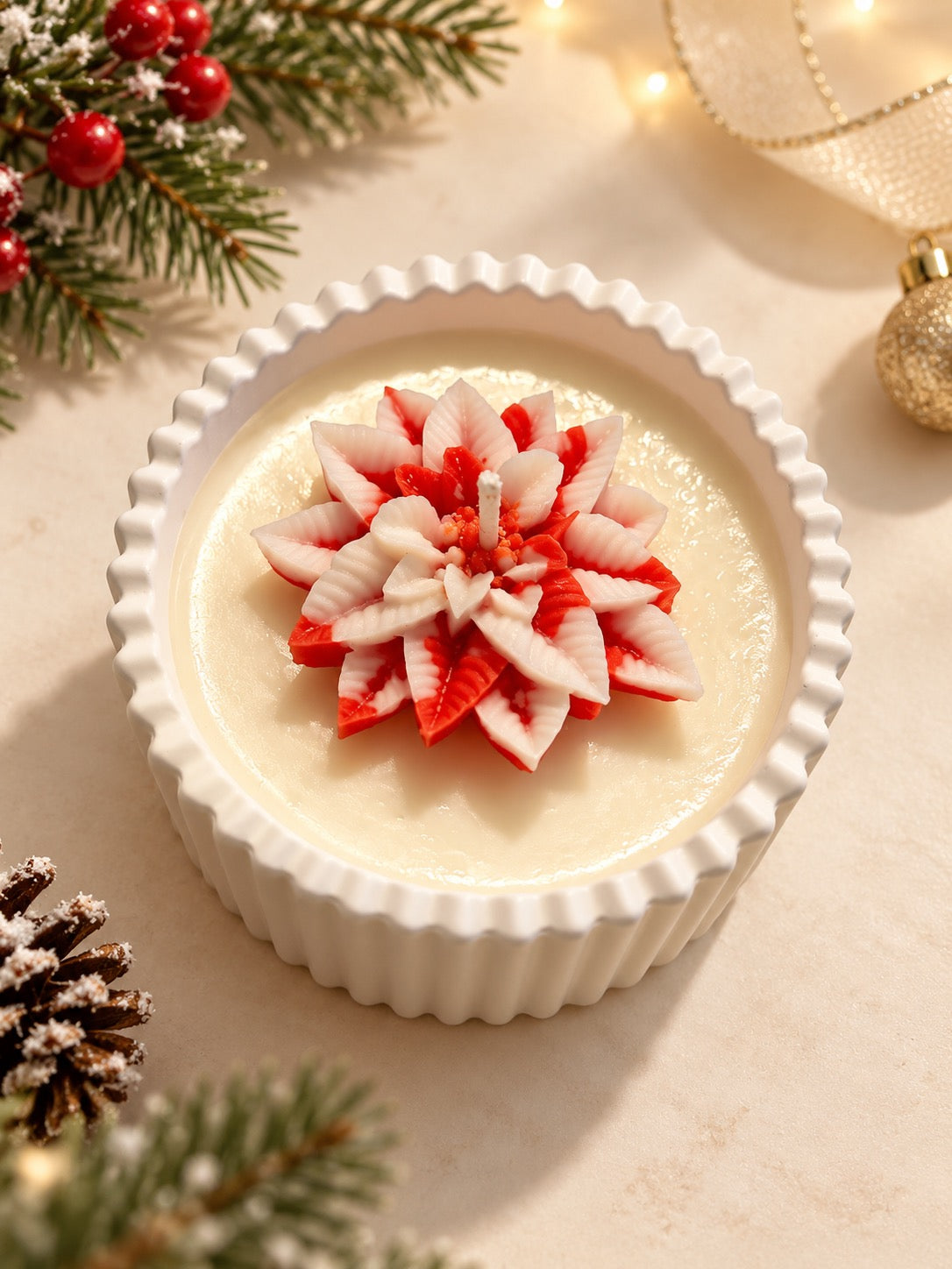 Weihnachtsstern-Kerze mit cremeweißer Blüte