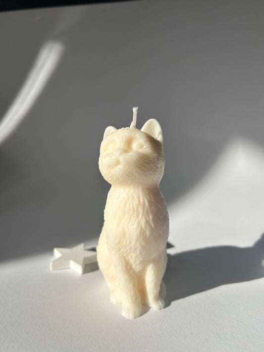 Katzen Kerze