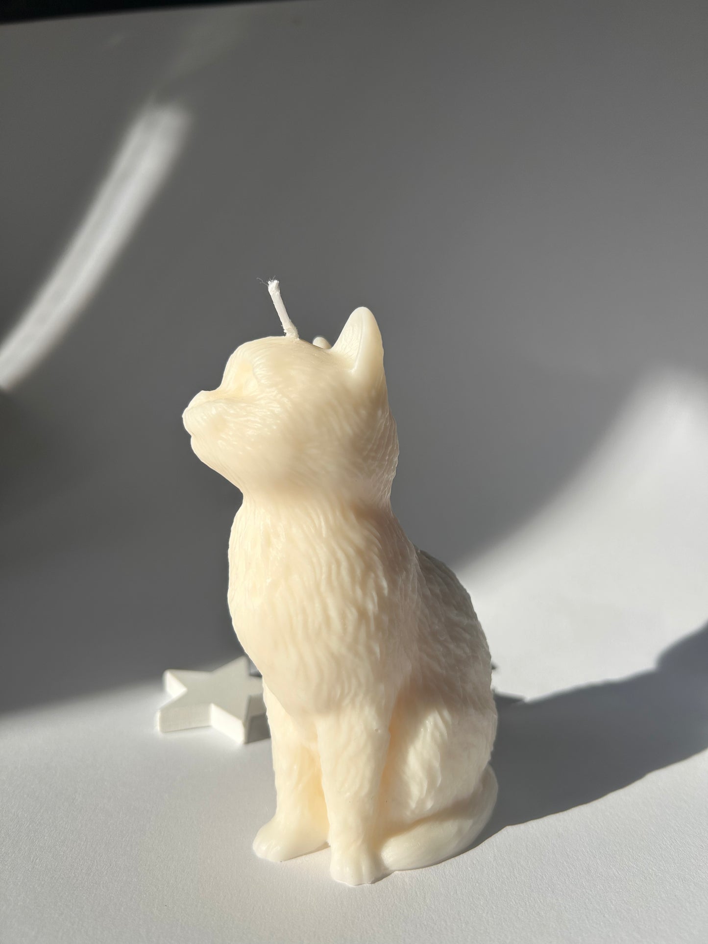 Katzen Kerze