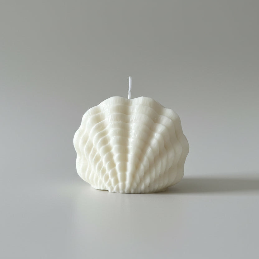 Muschel Kerze – Moderne Designkerze | Scandi & Boho Deko