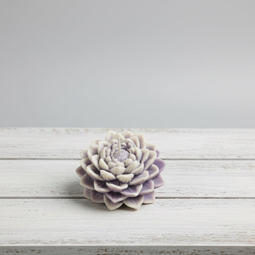 Lotus Blüte