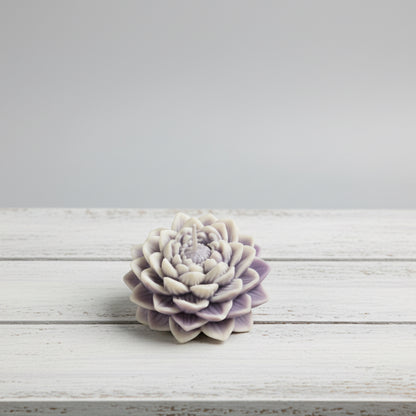 Lotus Blüte