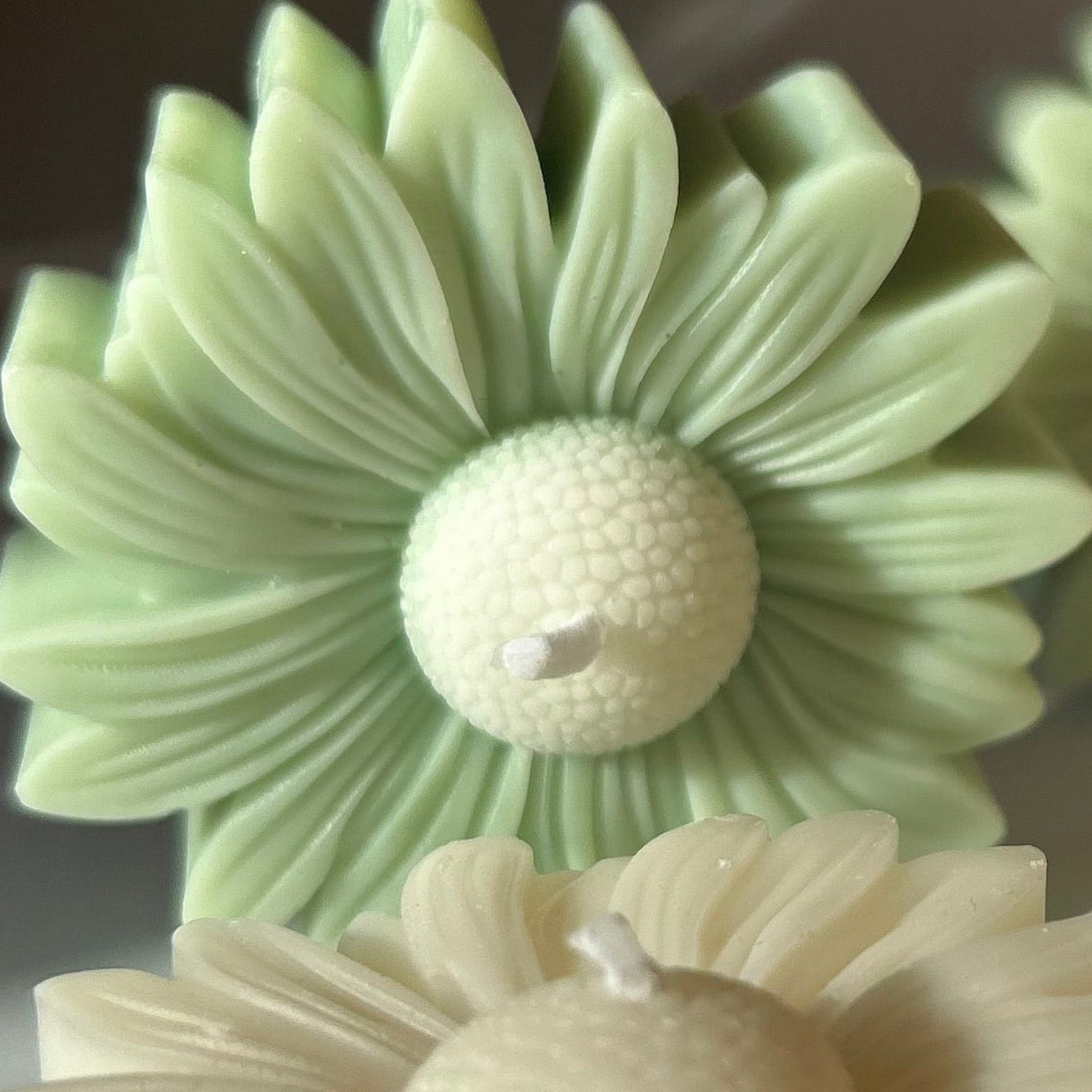 Blumenkerze Gänseblümchen