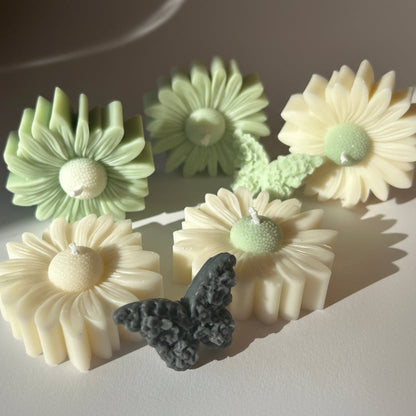 Blumenkerze Gänseblümchen