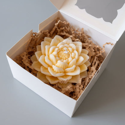 Lotus Blüte