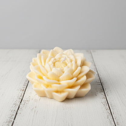 Lotus Blüte